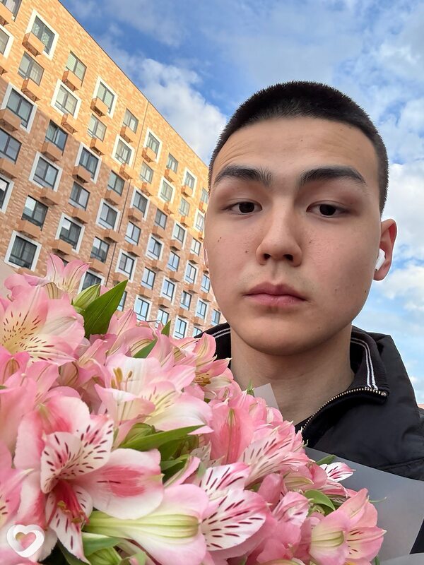 Владимир, Элиста