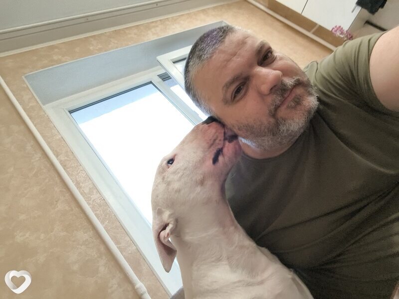 Андрей, 43, Новороссийске — анкета №4522079
