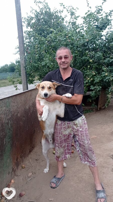Олександр, 50, Виннице — анкета №4523669