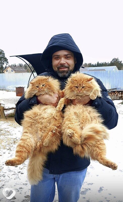 Илья, Лыткарино