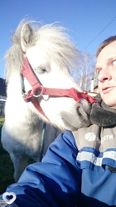 Андрей, 39, Нижнем Новгороде — анкета №4528919