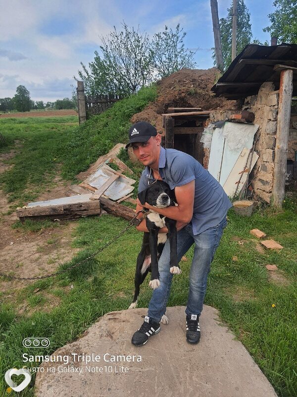 Артем, 33, Вологде — анкета №4542148