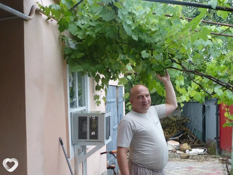 Слава, Мончегорск