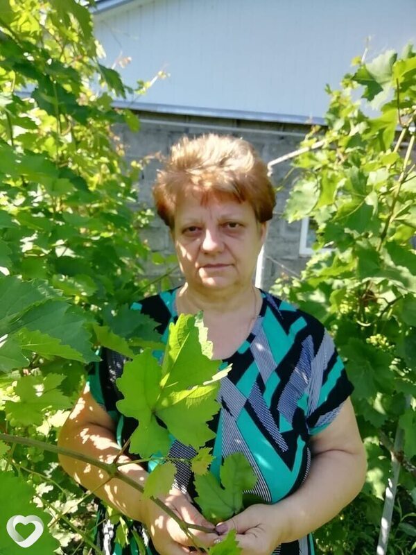 Ольга, Шахты