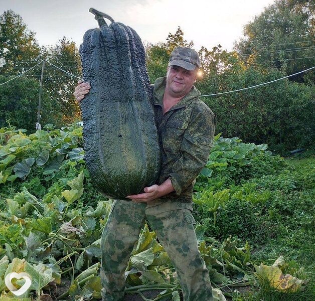 Олег, 52, Омске — анкета №4561281