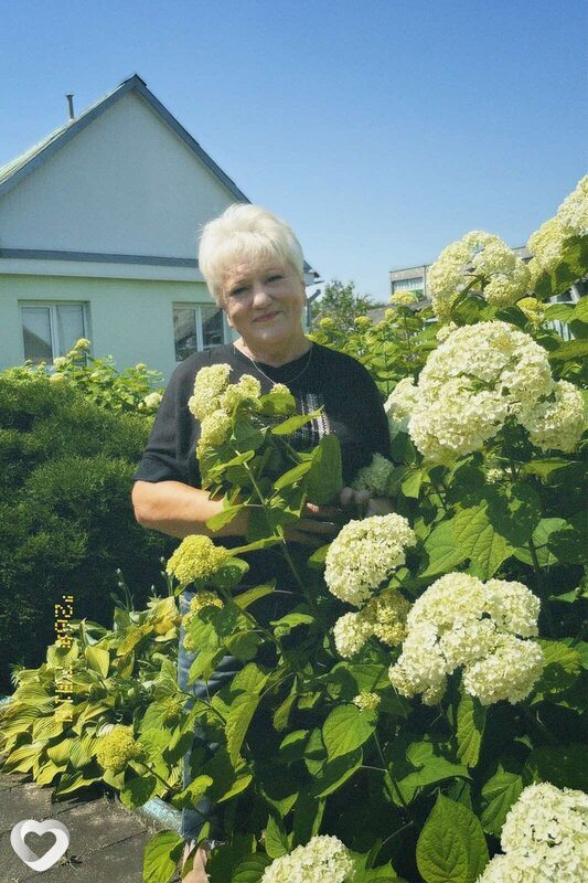 Елена, Лида