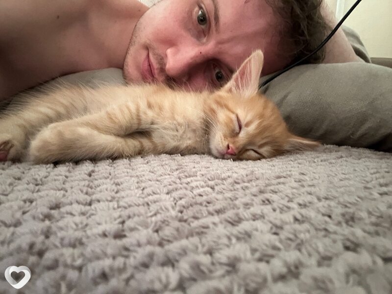 Михаил, 27, Нижнем Новгороде — анкета №4567379