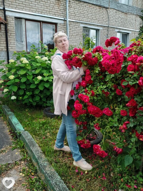 Ирина, 60, Витебске — анкета №4567168