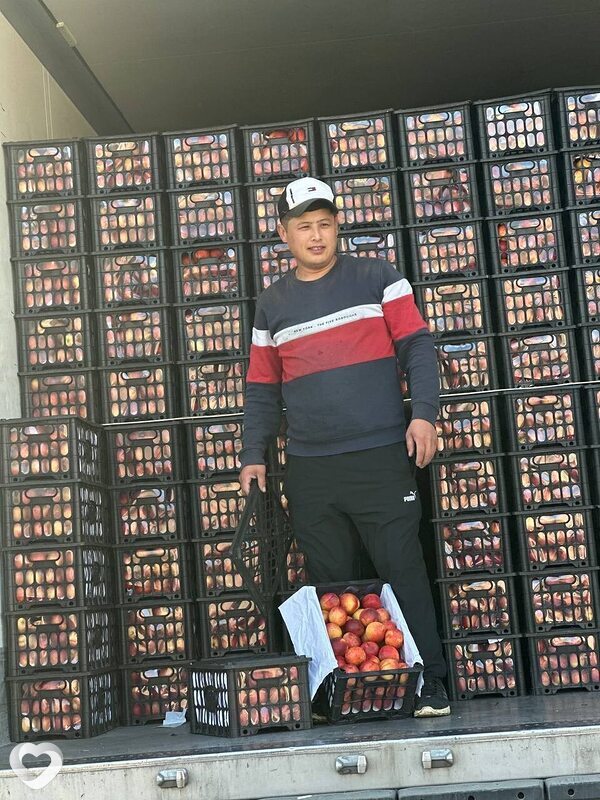 Suxrob, 33, Оренбурге — анкета №4570042