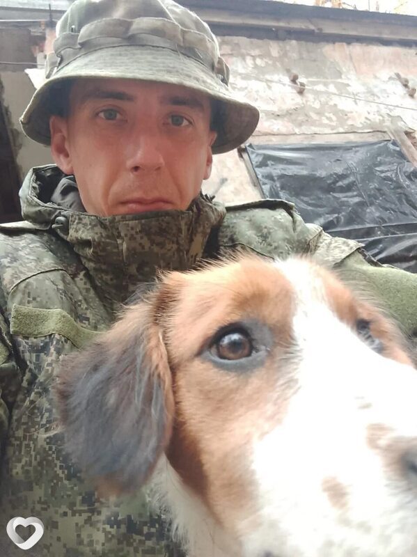 Малик, 31, Тольятти — анкета №4571664