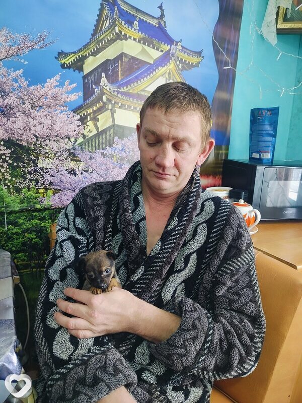 Владимир, 46, Оренбурге — анкета №4573474