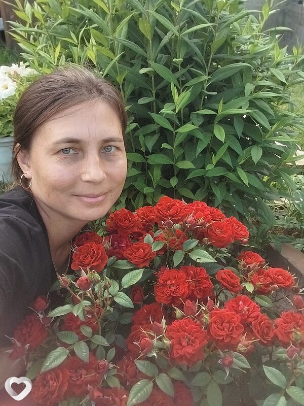 Наталия, 39, Нижнем Новгороде — анкета №4575698