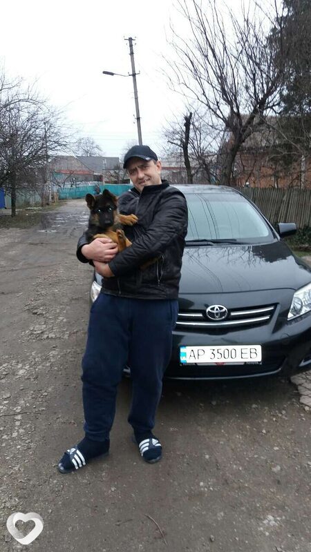 Денис, Запорожье