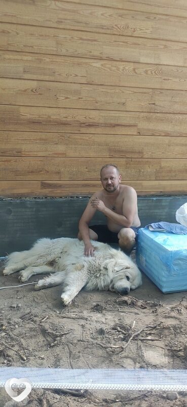 Сергей, 39, Минске — анкета №4582151