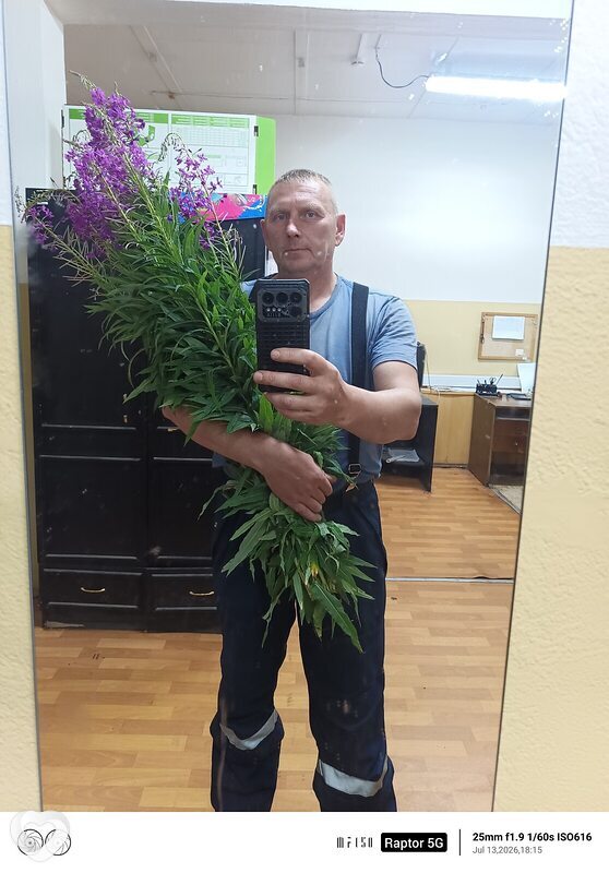 Ярик, Ростов Великий