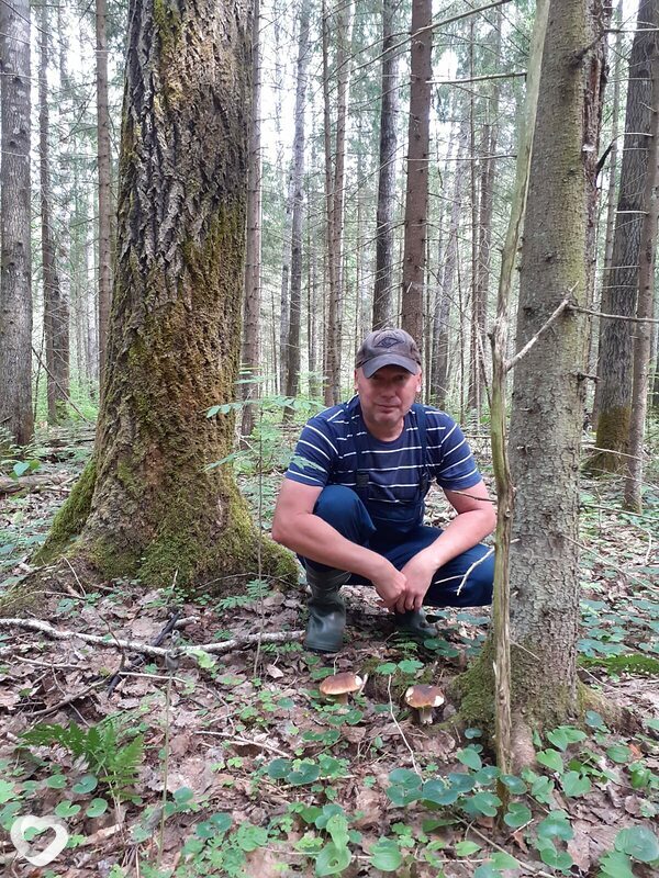 Александр, Тутаев