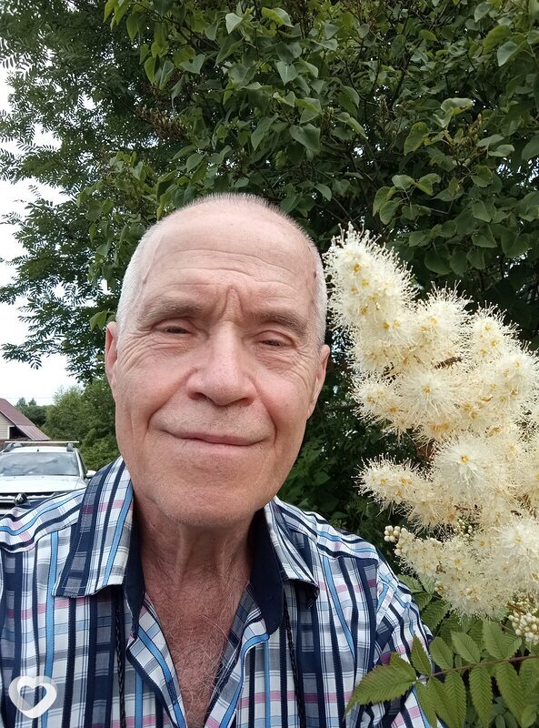 Владимир, Зеленоград