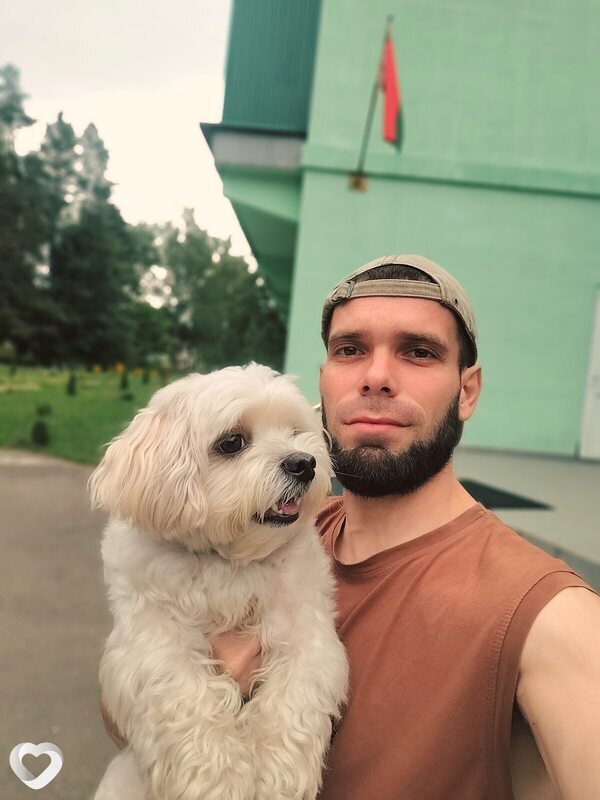 Денис, Столбцы