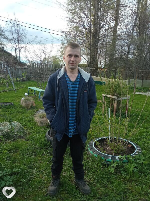 Александр, Боровичи