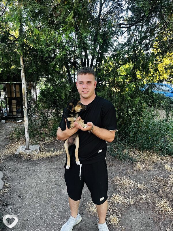 Виталик, 22, Ростове-на-Дону — анкета №4600331