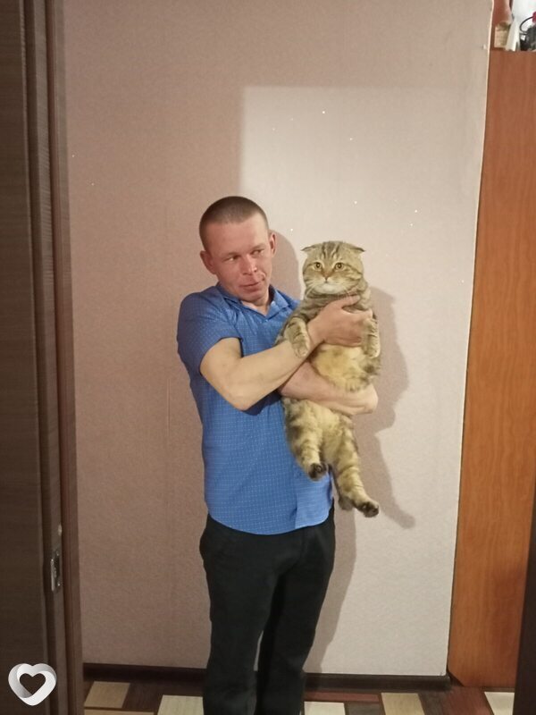 Владимир, Кострома