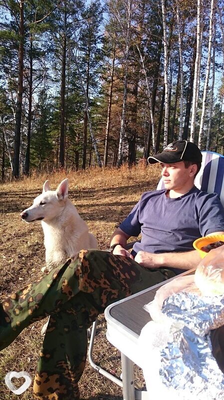 Степан, Кинешма