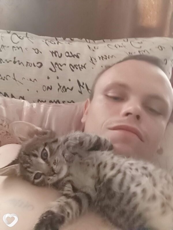 Павел, 41, Ульяновске — анкета №4607277