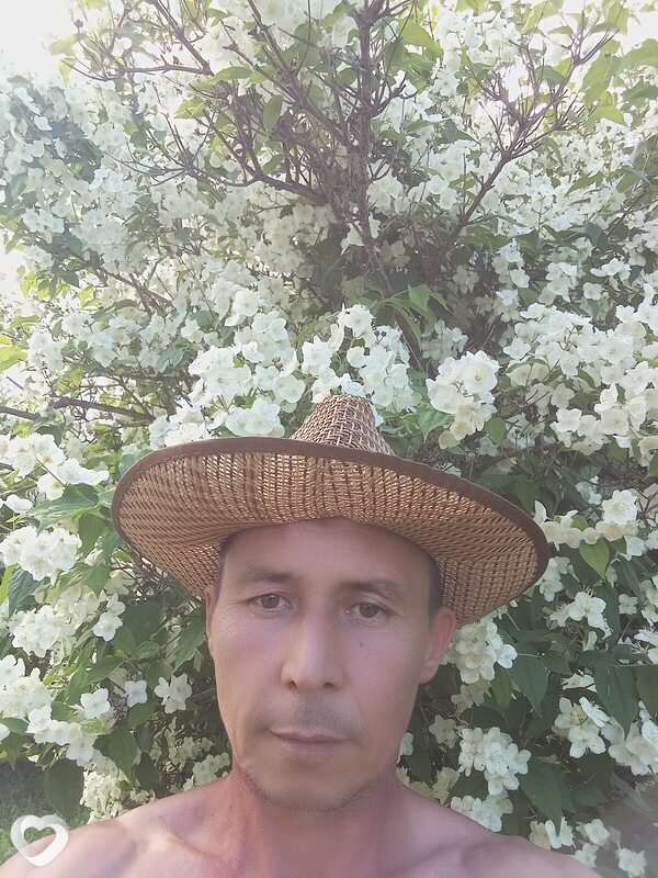 Alekc, 36, Александрове — анкета №4608128