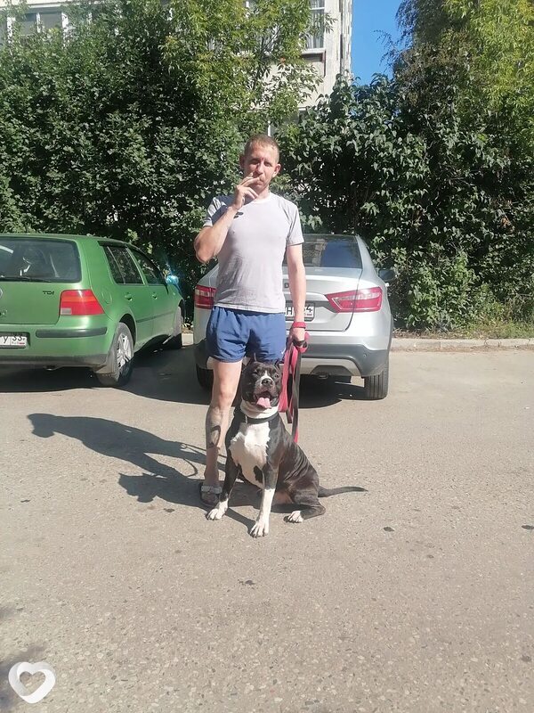 Александр, 36, Владимире — анкета №4611160