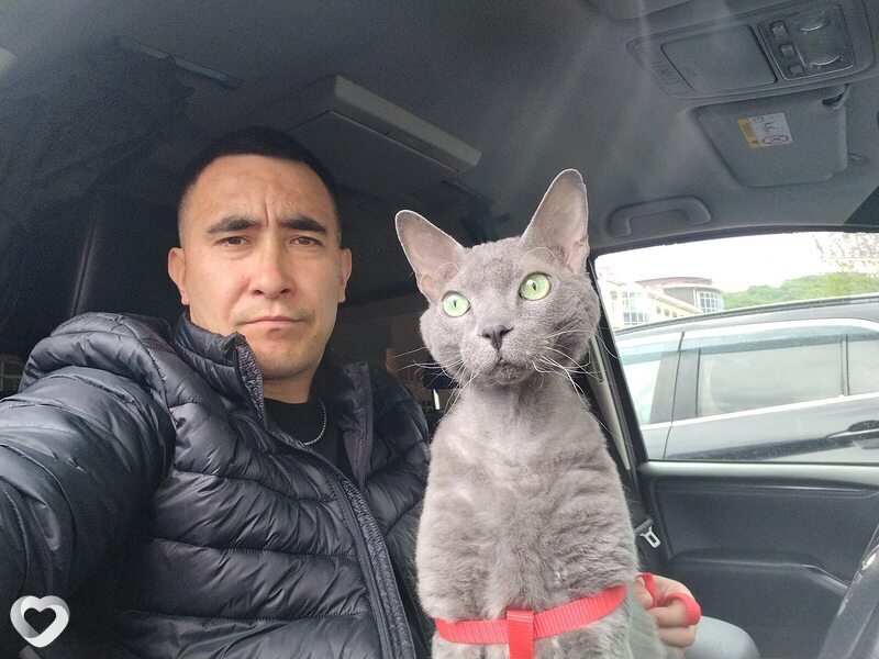 Метис, 36, Владивостоке — анкета №4612629