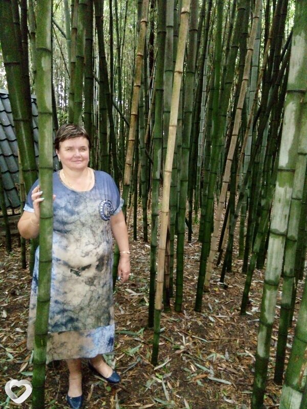 Татьяна, 67, Краснодаре — анкета №4614115