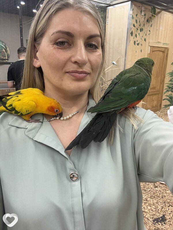 Лена, 40, Иркутске — анкета №4618270