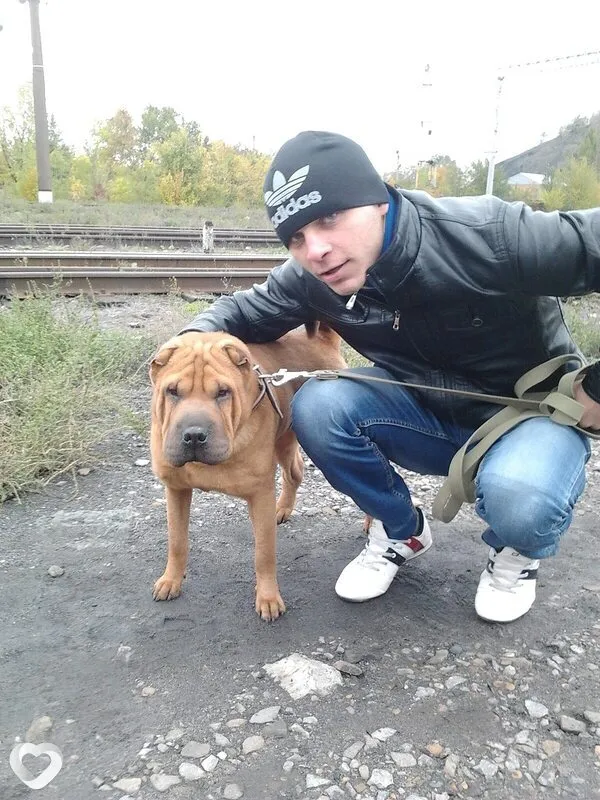 Стас, 34, Москве — анкета №4618386
