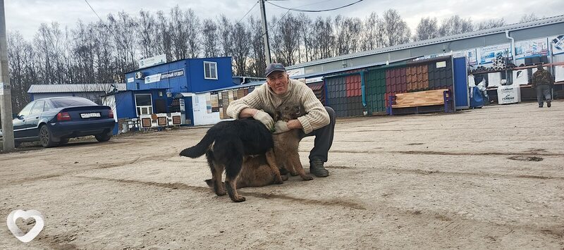 Владимир, Орёл