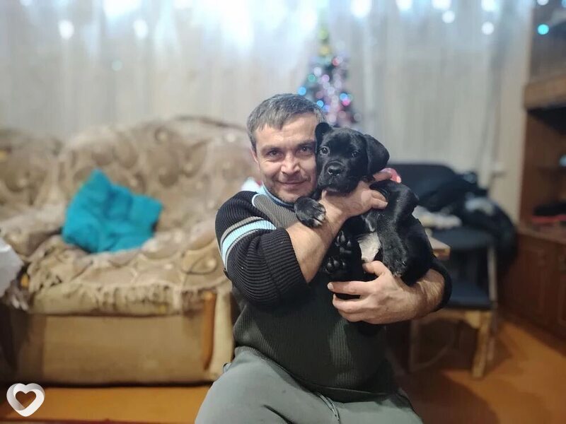 Владимир, Пятигорск