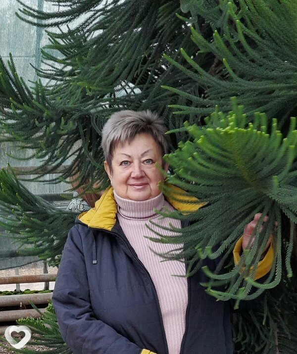 Татьяна, 67, Волгограде — анкета №4623553