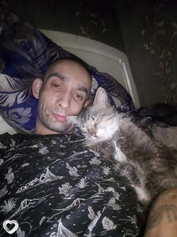 Arzu, Сокол