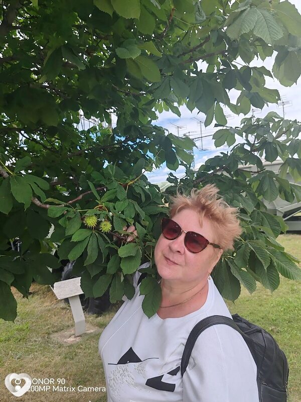 Елена, 55, Уфе — анкета №4624318