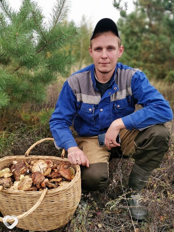 Серега, Липецк