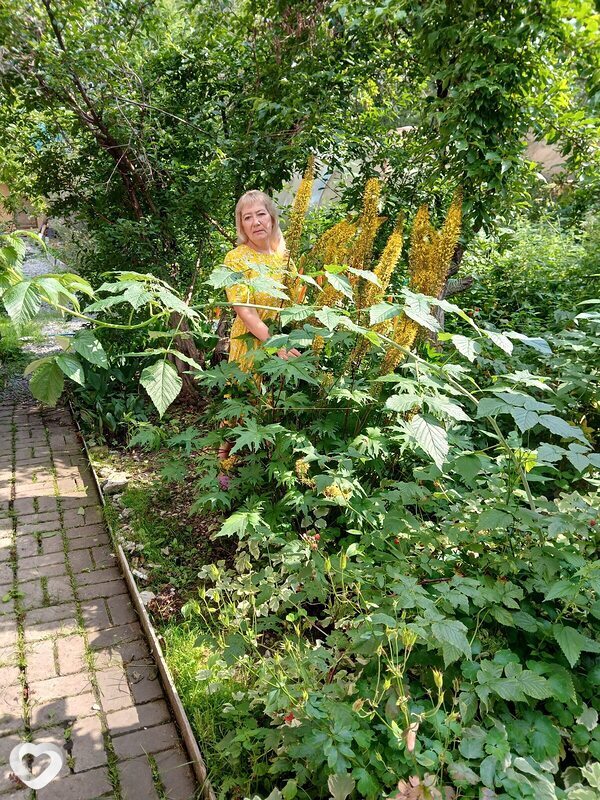Галина, 57, Екатеринбурге — анкета №4636216