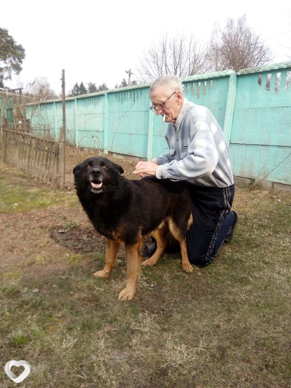 Александр, Могилев