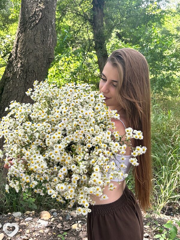Ася, Ставрополь