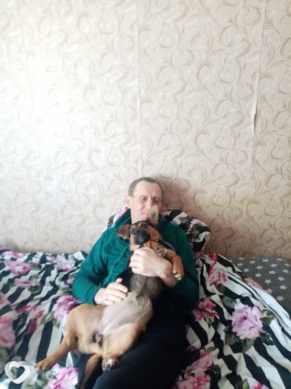 Сергей, 49, Санкт-Петербурге — анкета №4642662