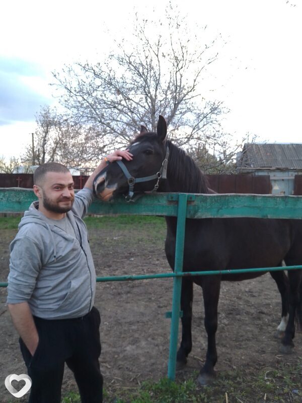 Дима, Никополь