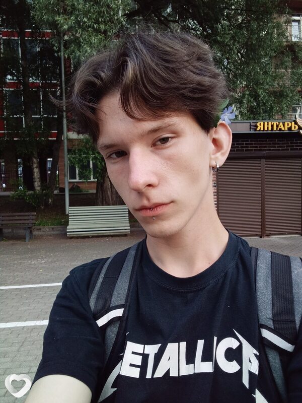Сеня, Калининград