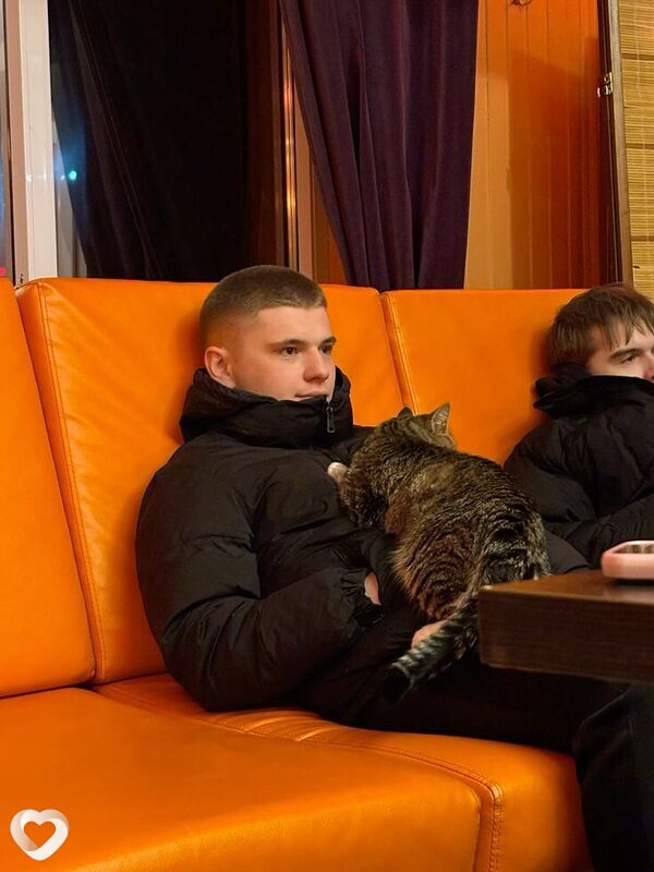 Jojes, Полысаево