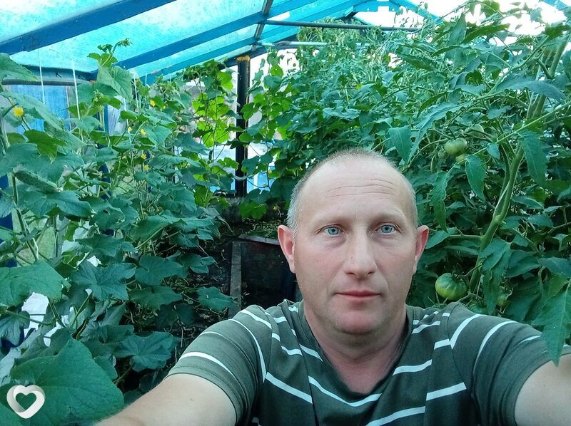 Михайло, Полтава