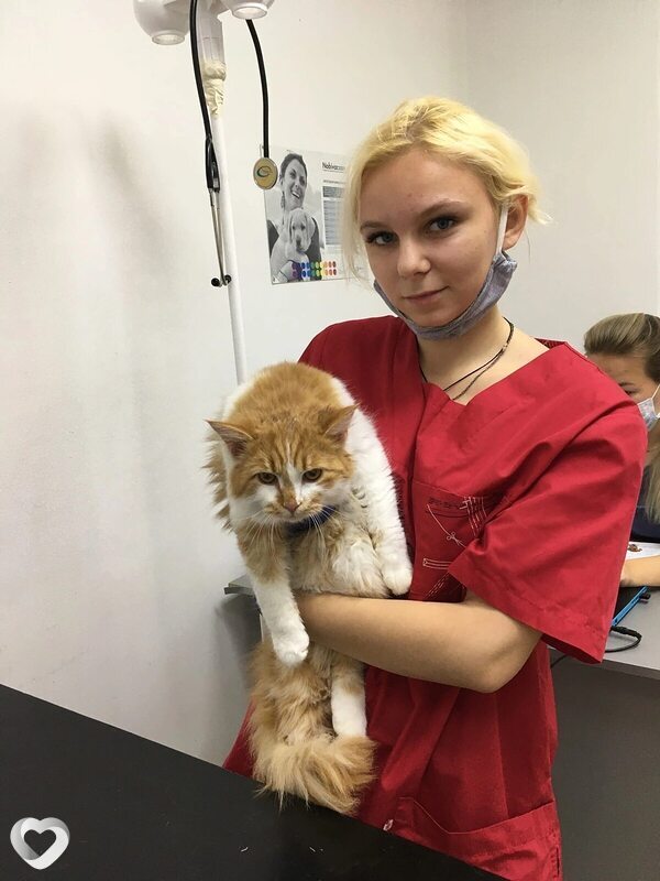 Екатерина, Ставрополь