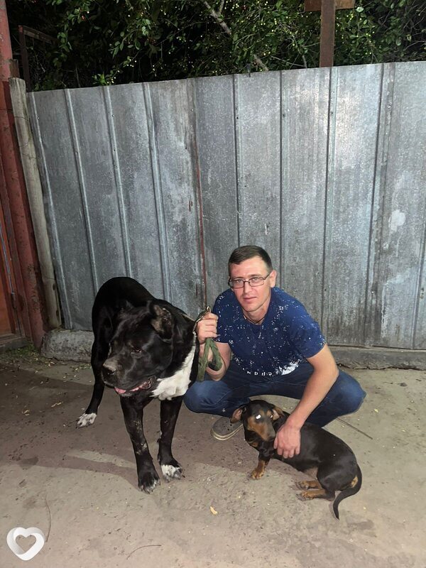 Александр, 36, Алматы — анкета №4662751