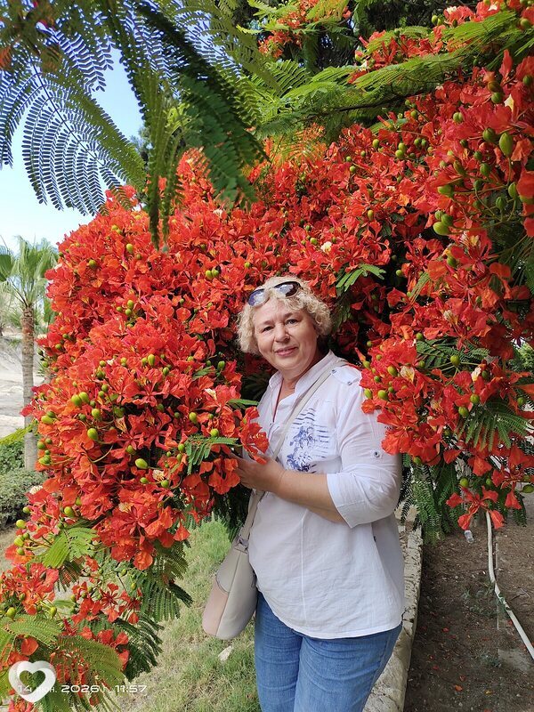 Ирина, 63, Бресте — анкета №4665791